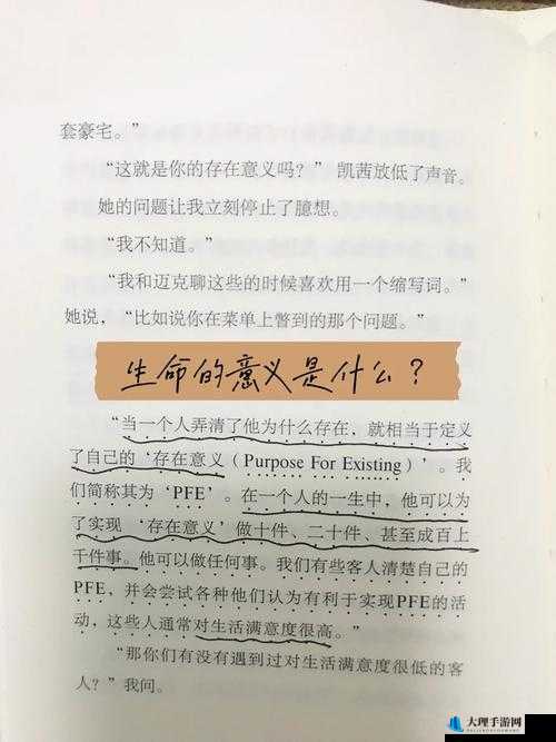 M1313 不能看了：探寻其背后原因及可能的解决办法